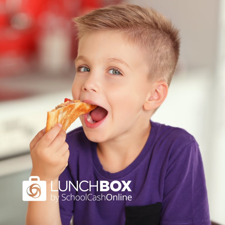 lunchbox_by_school_cash_online